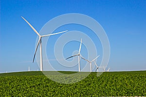 Green Field With Energy Producing Three Bladed Windmills