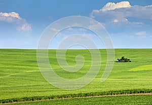 Green field and farm house under blue sky
