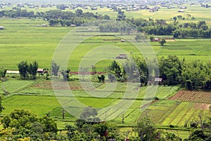 Green field with farm houses