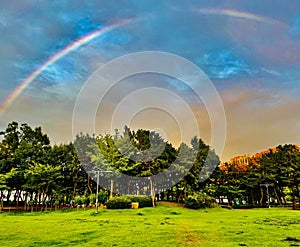 a green field filled with grass and trees next to a rainbow