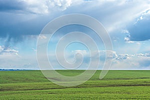 Green field with fresh vibrant grass and blue sky with dramatic clouds at the daytime