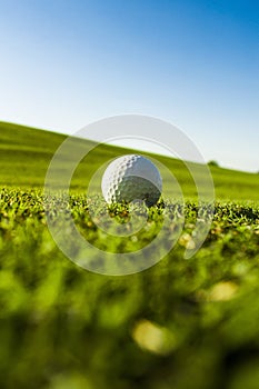 Green field golf ball