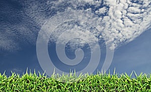 Green field, grass, blue sky and white clouds.