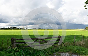 Green field of grass with heavy rain clouds and sunshine panoramic view