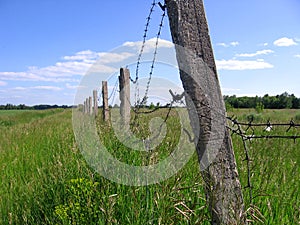 Green field with grass surrounded by concrete pillars old barbed wire fence dangerous territory
