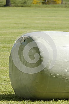 Green field with green roll of ensilage or bale of hay, wrapped in green plastic. In spring sunlight