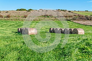 A green field with hay bales and blue sky