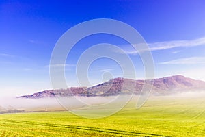 Green field and hill landscape