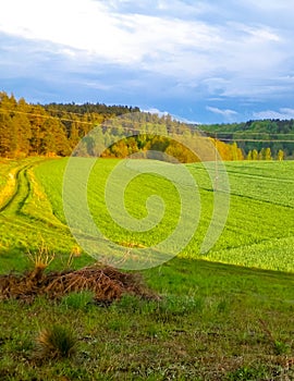 Green field and hills. Nature of northern Poland