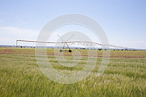 Green field irrigate wheels