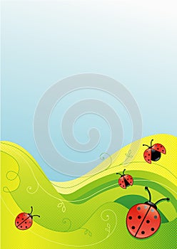 Green field ladybug background