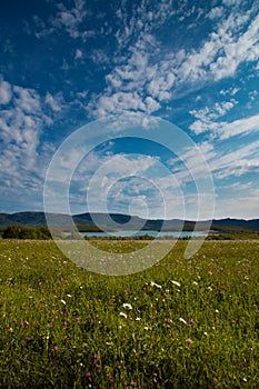 Green field, lake and mountains