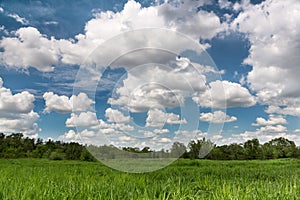 Green field landscape cloudscape