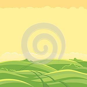 Green field landscape. Field track road. Copy space. Spring grass. Agricultural farming and hunting acreage. Vector