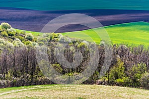 Green field landscape. Spring landscape. Hungaryan countryside. Agriculture concept.