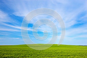 Green field landscape, sunny blue sky