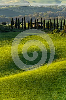 Green field landscape in Toscana Italy