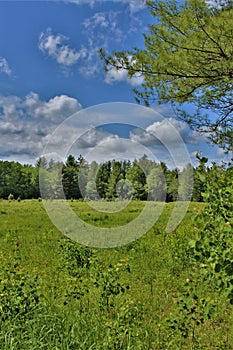 Green field located in Childwold, New York, United States