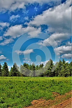 Green field located in Childwold, New York, United States