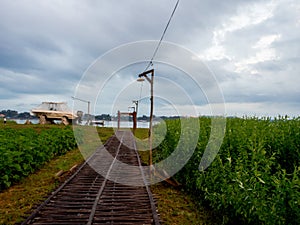 Green Field and Mekhong River