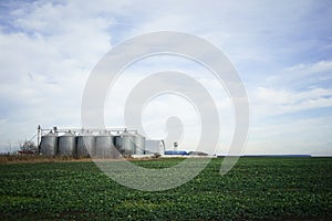 Green field and metallic silos in clrear sky photo