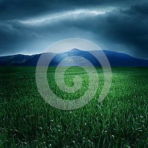 Green field and mountains