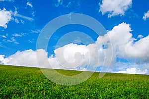 A Green field in the mountains with creamy clouds