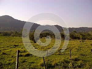 Green field with mountains on the horizon, natural and warm environment