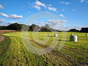 Green field with packed hay lucerne bales