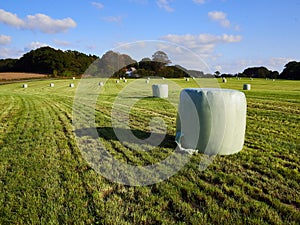 Green field with packed hay lucerne bales