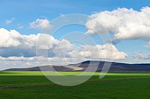 Green field partially shadow by big clouds