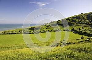 Green field with sea.