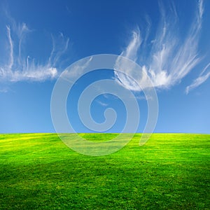 Green field and sky,great as a background