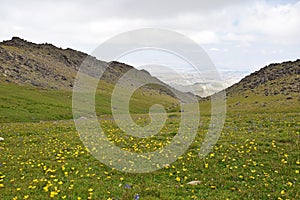 The green field and slops of Mount Sabalan Volcano , Iran