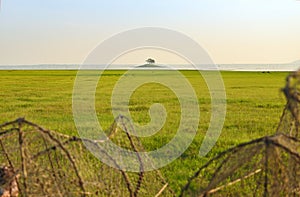 green field and small island middle river.