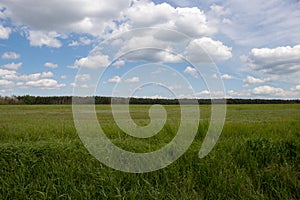 Green field in the spring, Sekule, Slovakia