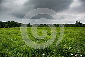 Green field with storm clouds