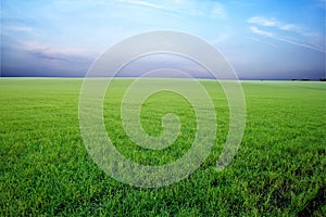 Green field and stormy sky