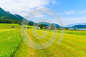 Green field in summer landscape of Alps Mountains, Weissensee lake, Austria