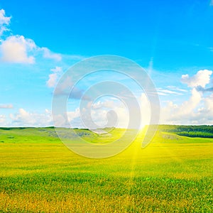 Green field, sun and blue sky