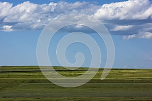 Green field in sunny day with blue sky and puffy clouds