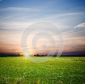 Green field and sunrise