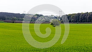 Green field surrounded by forest.