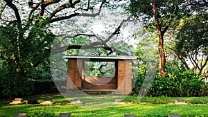 Green Field and Tree at Comilla Bangladesh