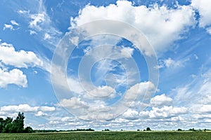 Green field, trees and blue sky with white clouds.