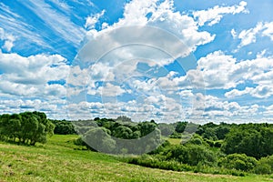 Green field, trees and blue sky with white clouds.