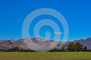 Green field and trees in front of Mount Hutt mountain range, Methven, New Zealand