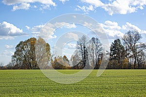 A green field and trees under a clear blue sky and white clouds. Autumn landscape on a bright sunny day