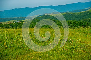 Green field under blue sky and the mountains