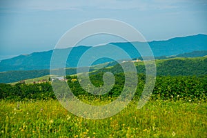 Green field under blue sky and the mountains